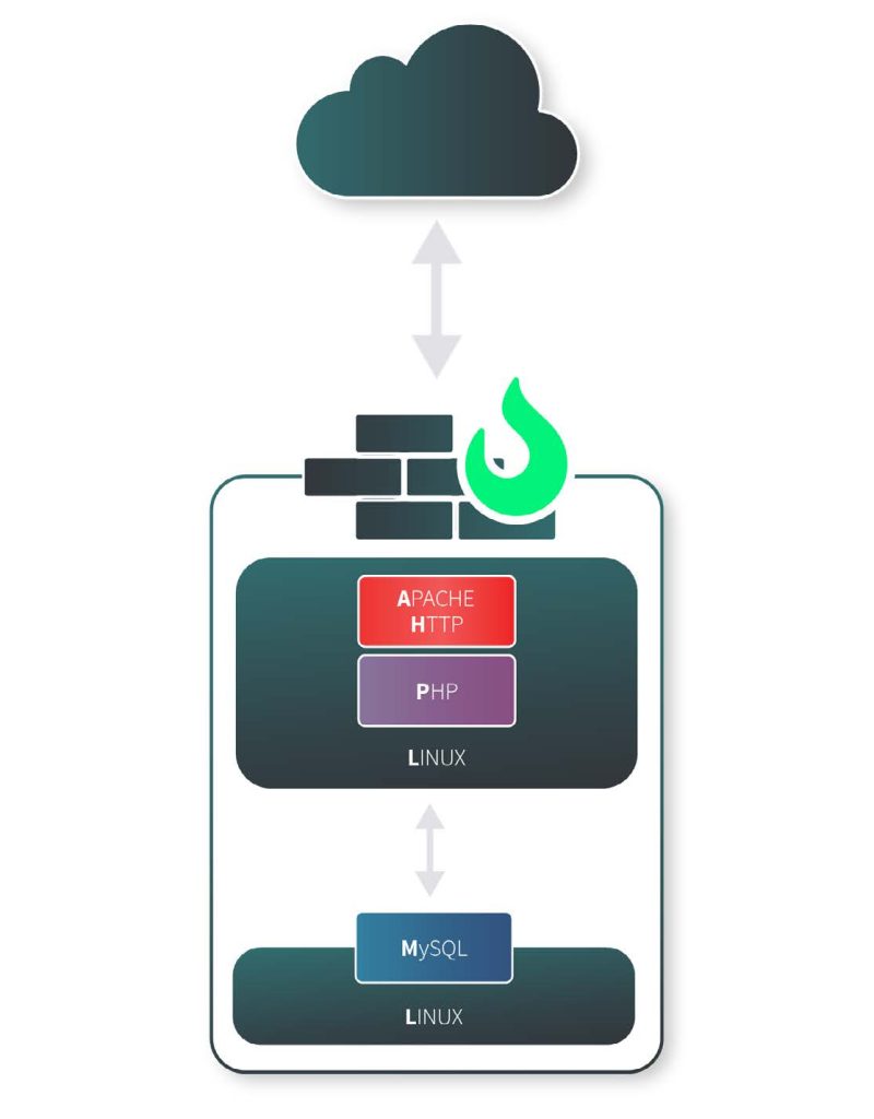 Vertical-Scaling-with-Separate-Web-and-Database-Nodes - Techcity Company Limited
